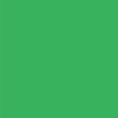 Roland DG TrueVis 2 Eco-Sol Ink Green - 500ml